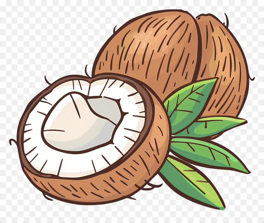 Coco，Frutas Tropicales PNG