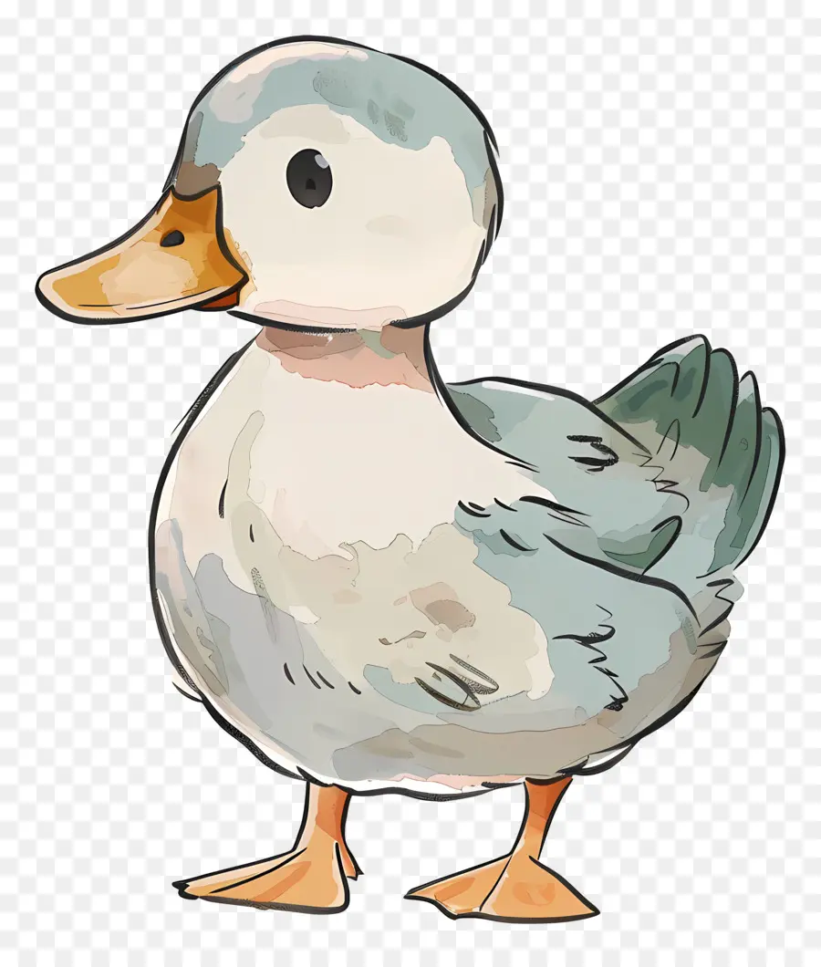 Pato，Dibujo PNG