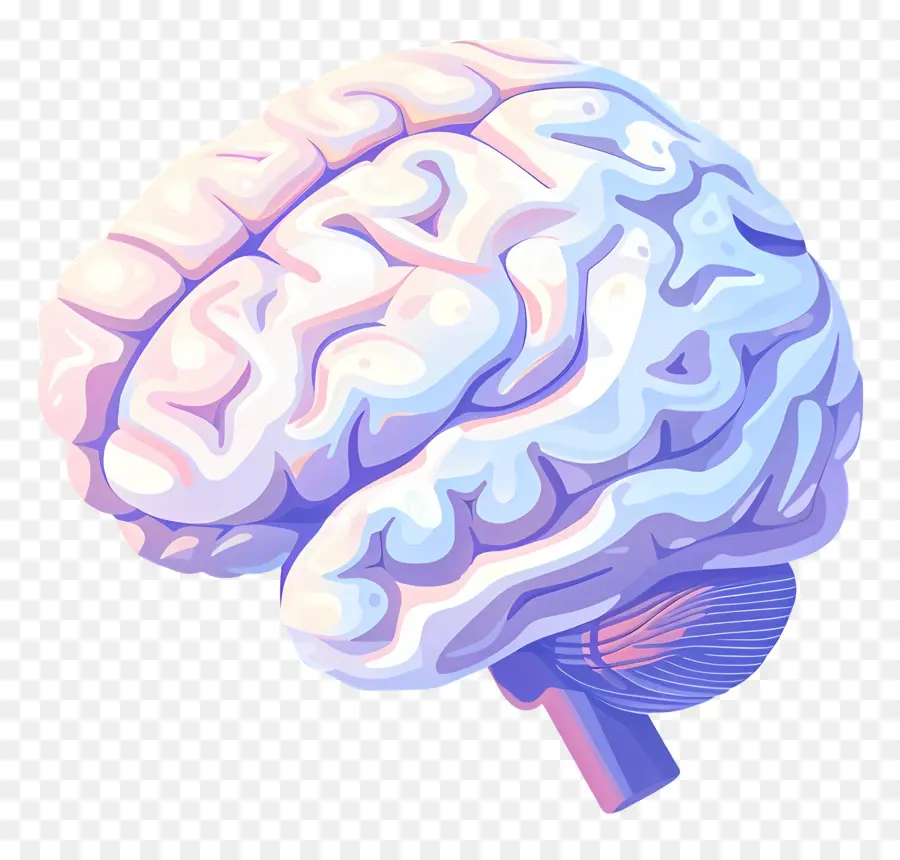 Cerebro Artificial，Cerebro PNG