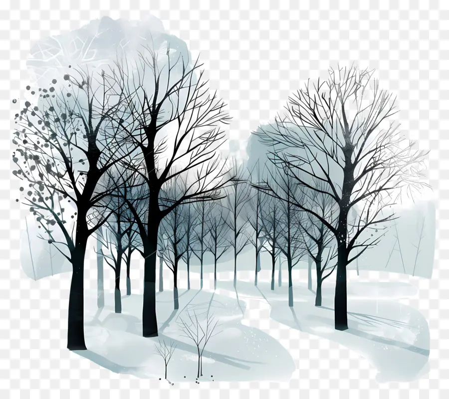 Parque De Invierno，Bosque De Invierno PNG