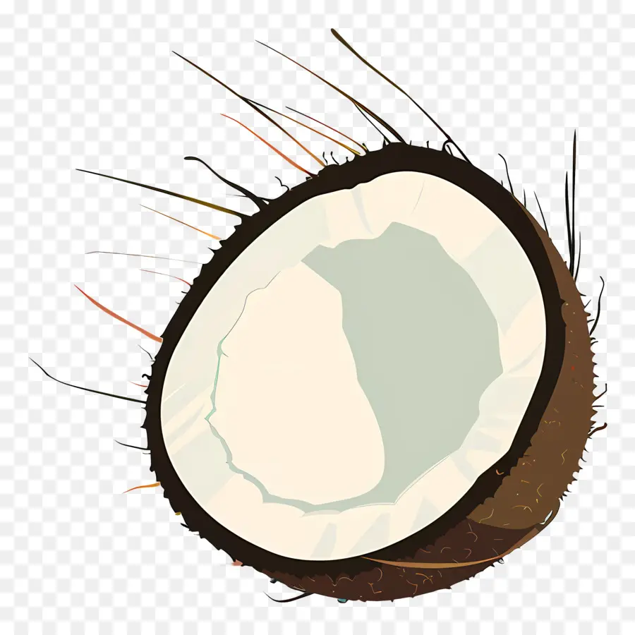 Coco，Fruta PNG