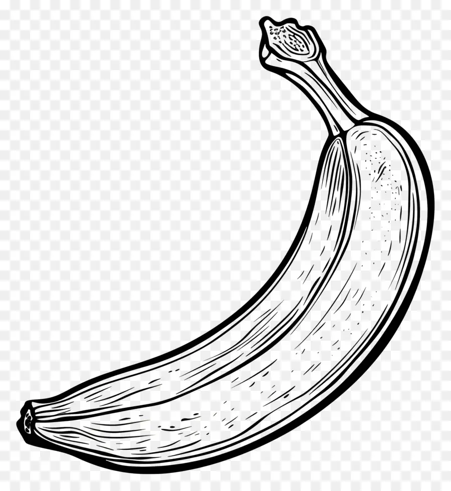 Banano，Plátano Negro PNG