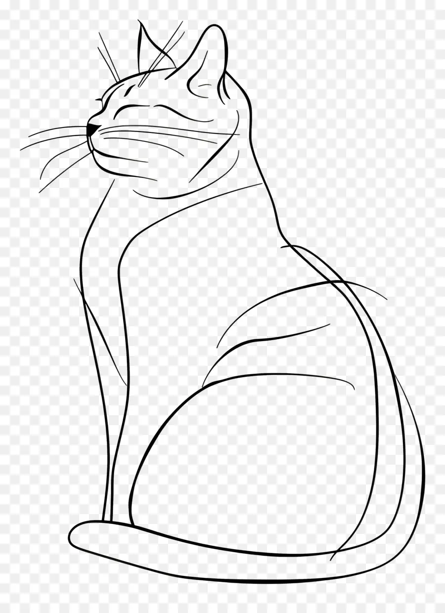 Un Dibujo De Línea，Gato PNG