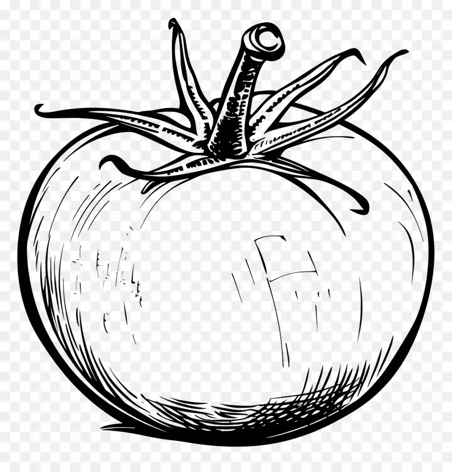 Tomate，Tomate Dibujo PNG