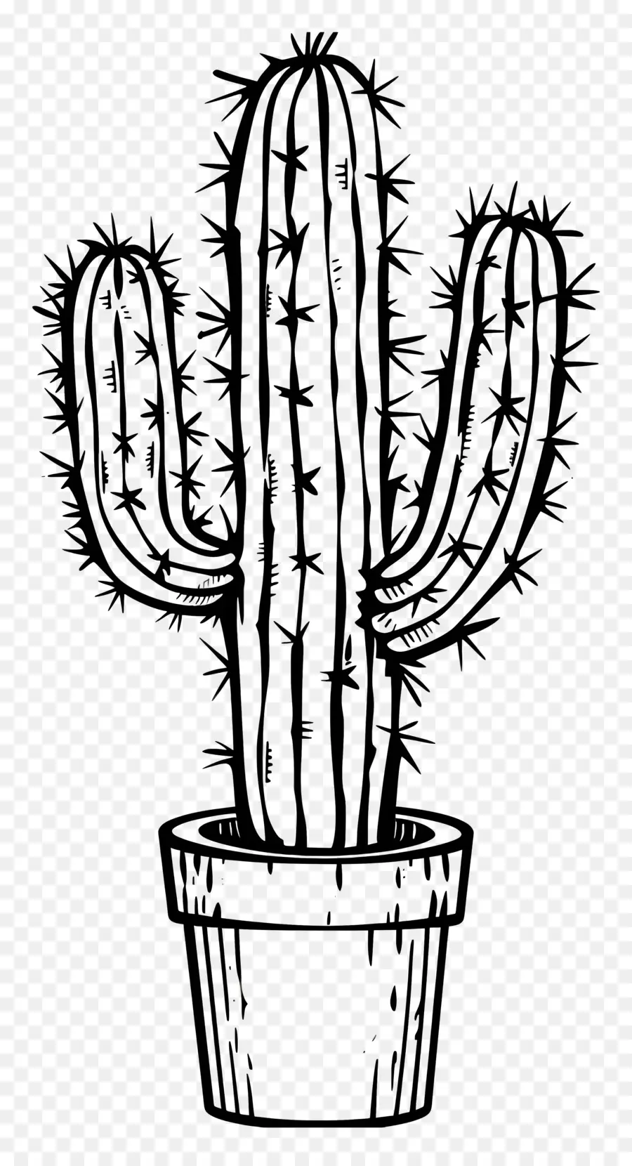 Un Dibujo De Línea，Cactus PNG