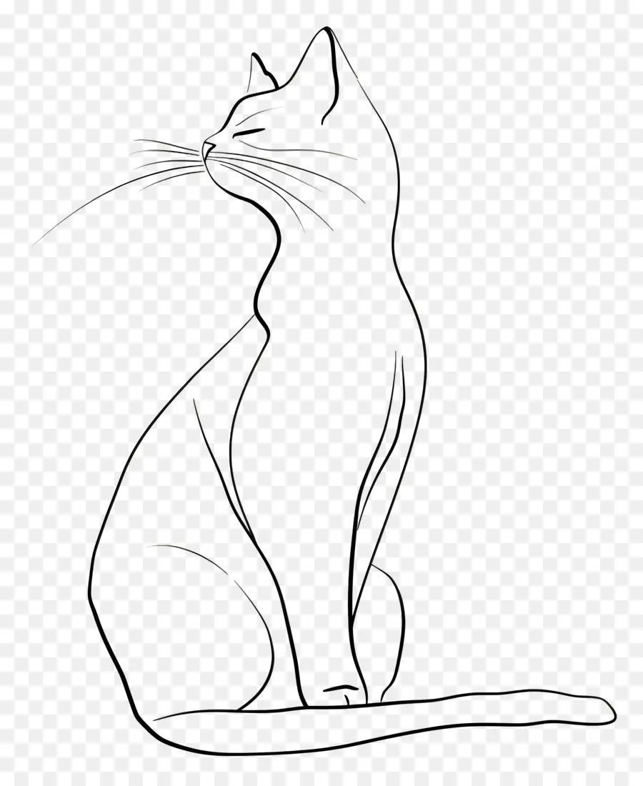 Un Dibujo De Línea，Gato PNG