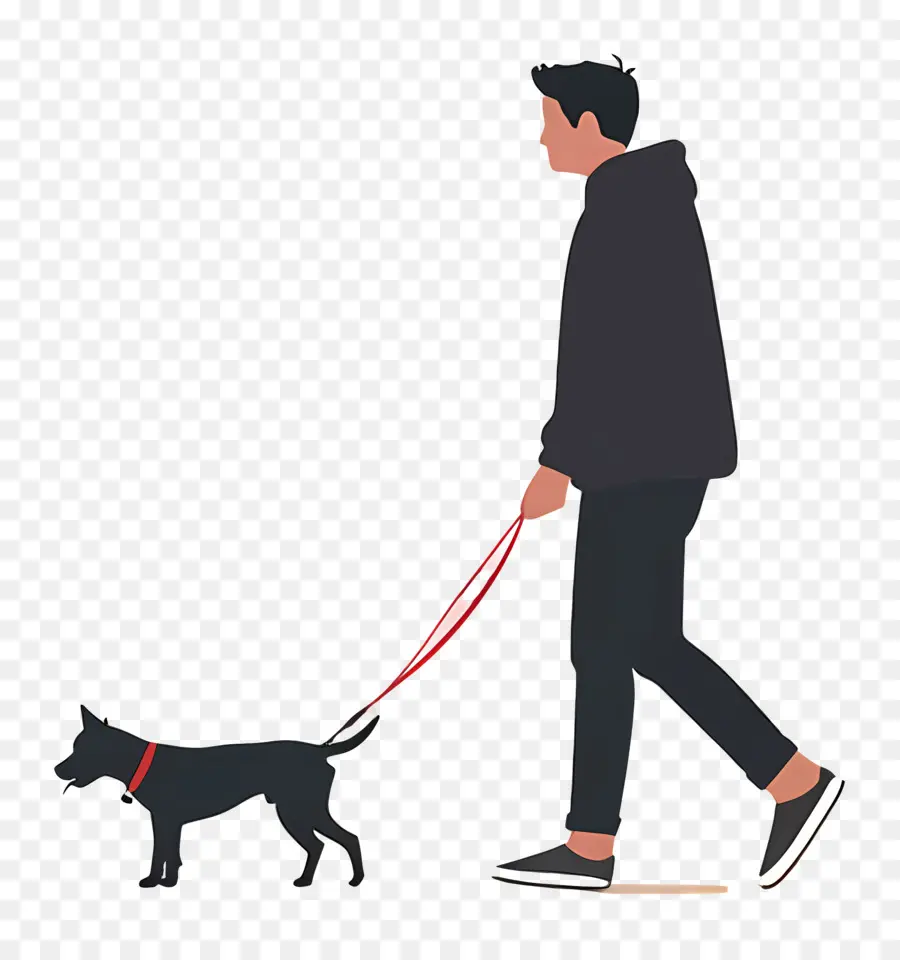 El Hombre Al Perro De Paseo，Hombre PNG