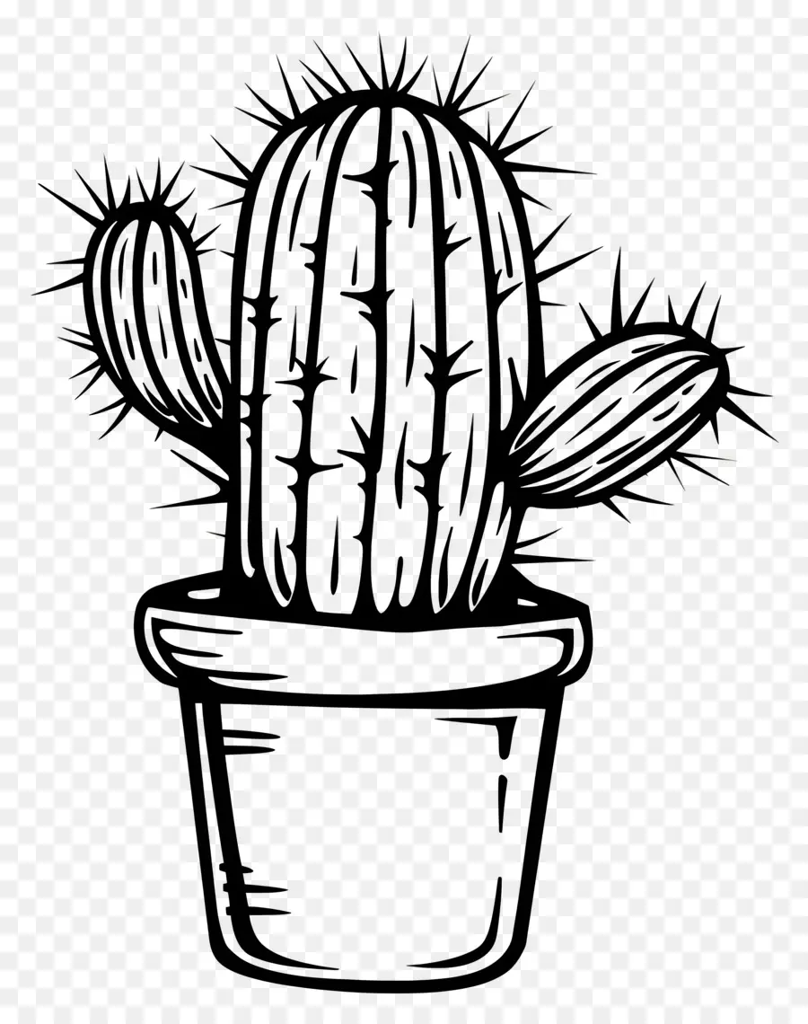 Un Dibujo De Línea，Cactus PNG