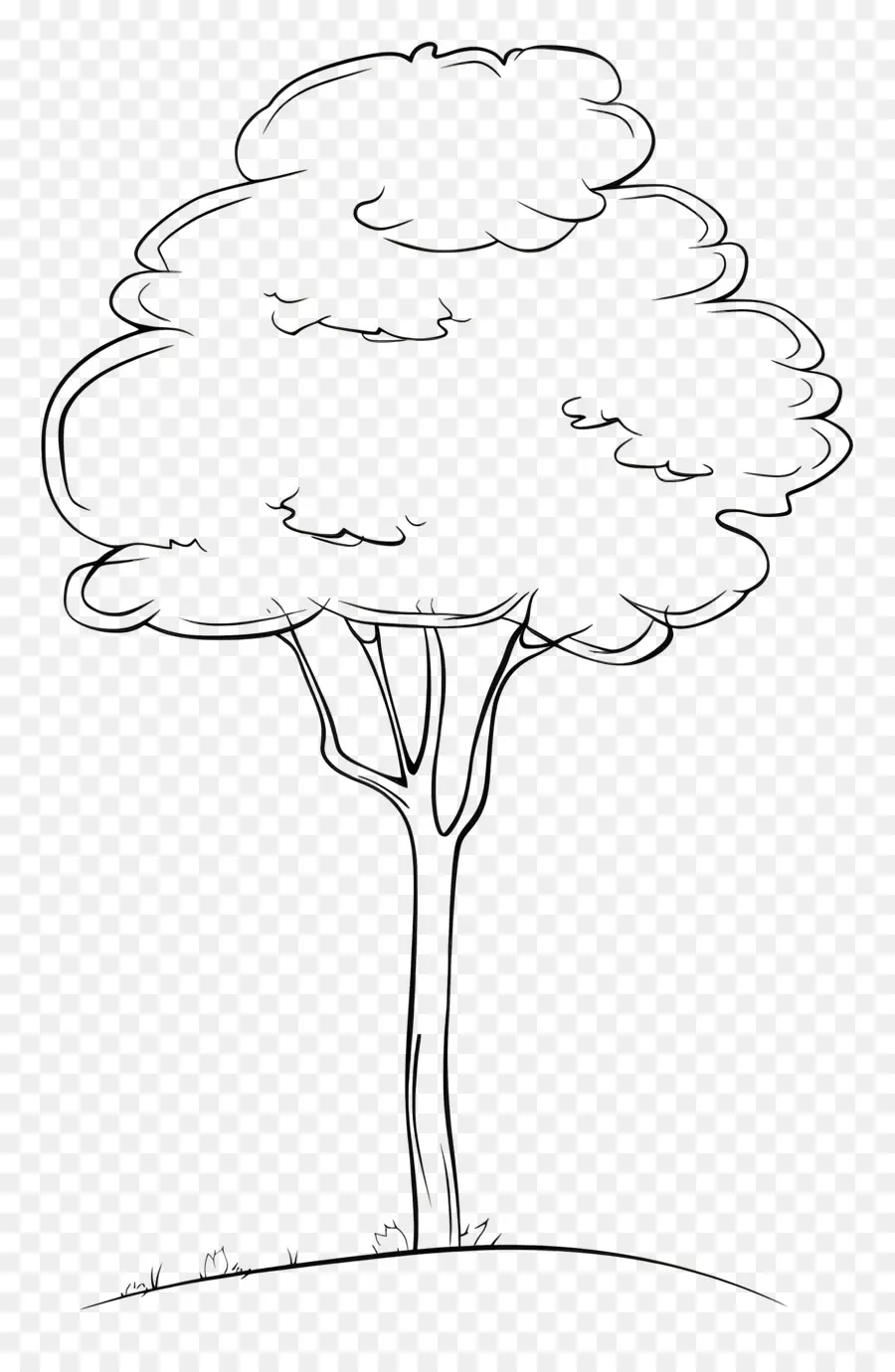 Un Dibujo De Línea，Árbol PNG