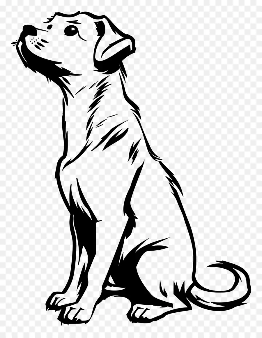 Dibujo De Una Linea，Perro PNG