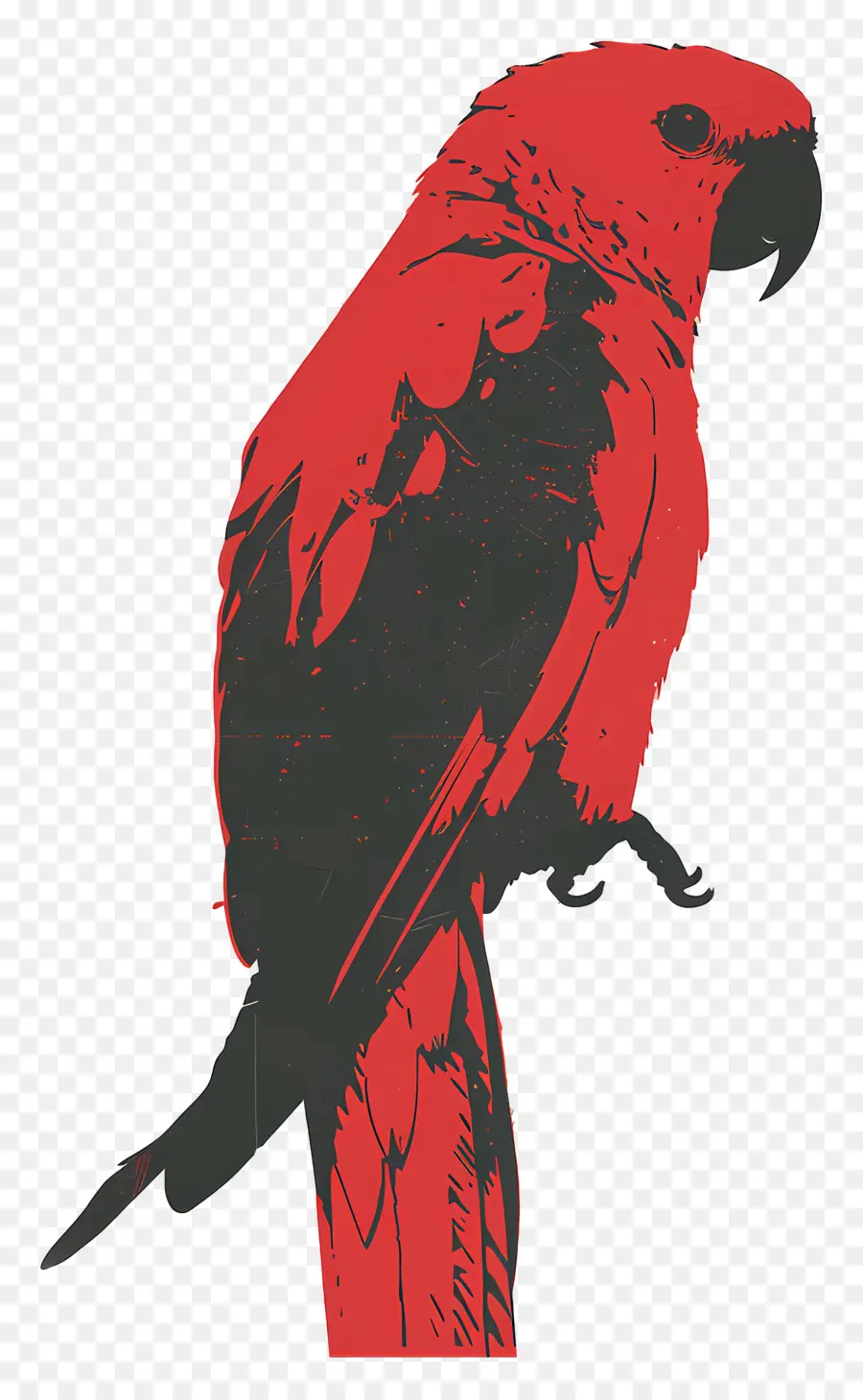 Loro，Pájaro Rojo PNG