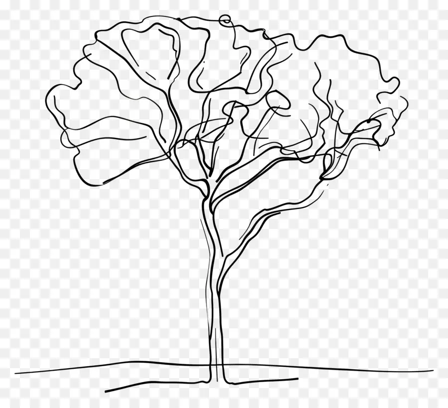 Dibujo De Una Linea，Árbol PNG