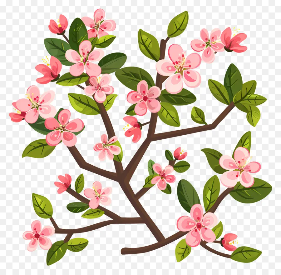 Flores De Primavera，árbol Floreciente PNG