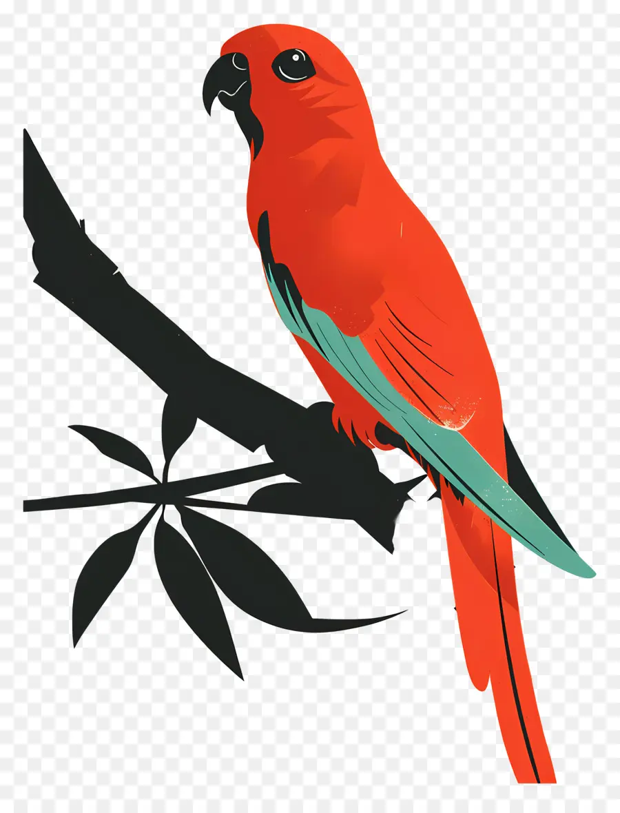 Loro，Red Parrot PNG