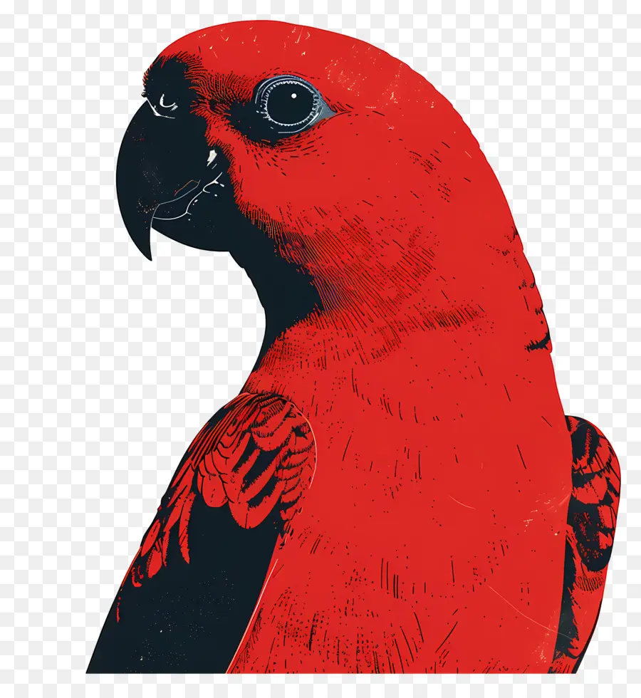 Loro，Red Parrot PNG
