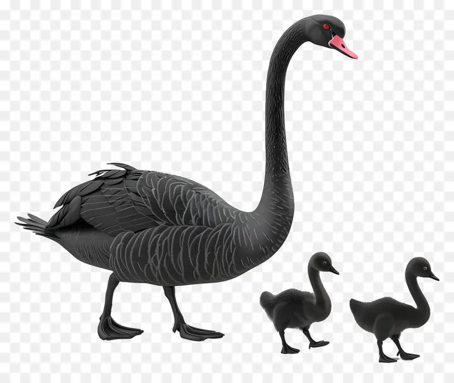 Swan，Bebé PNG