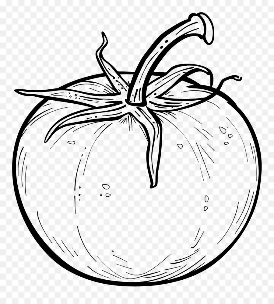 Tomate，En Blanco Y Negro PNG