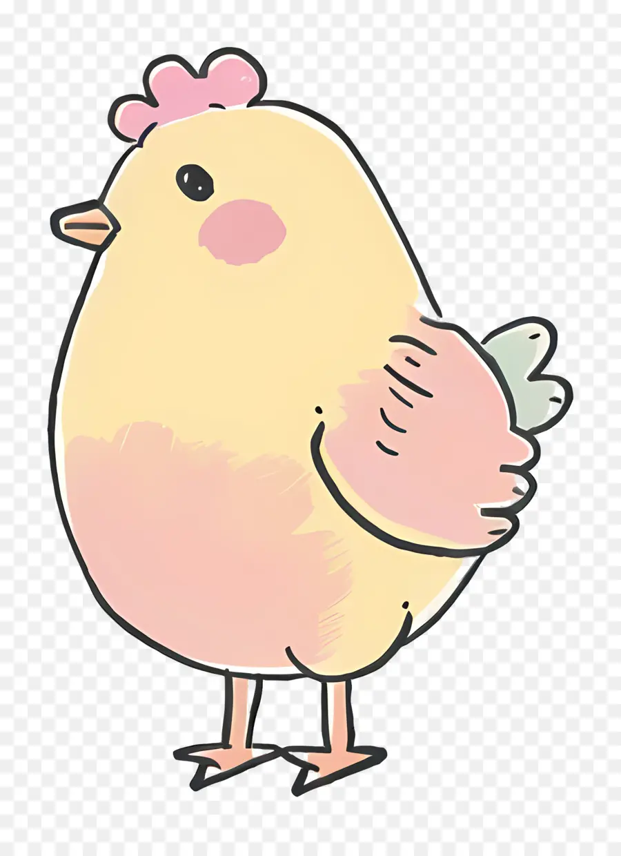 Pollo，Aves PNG