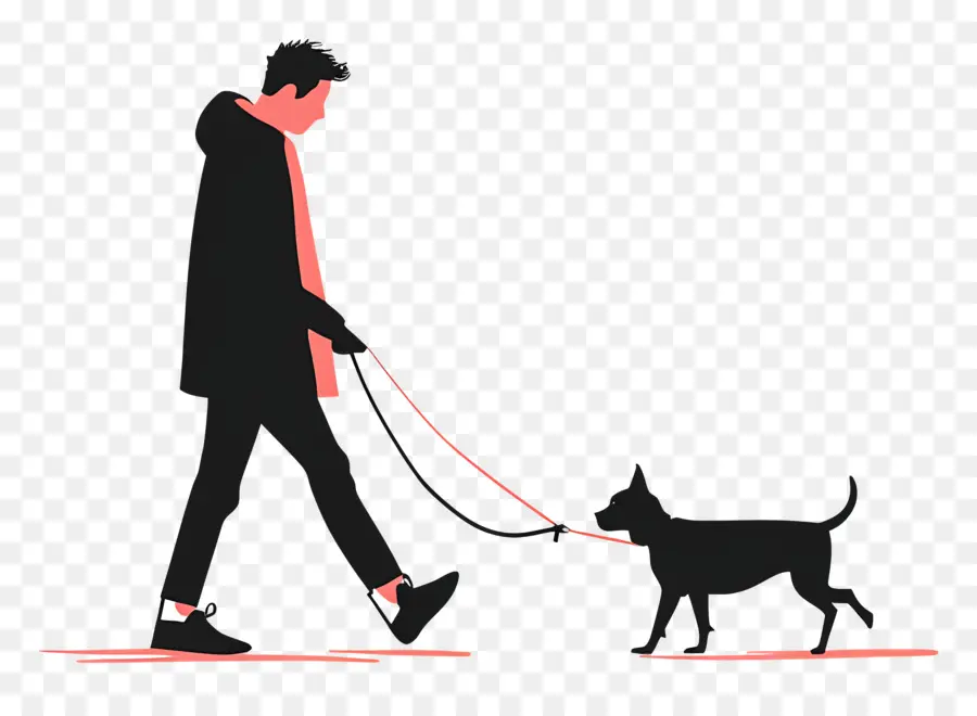 El Hombre Al Perro De Paseo，Hombre PNG