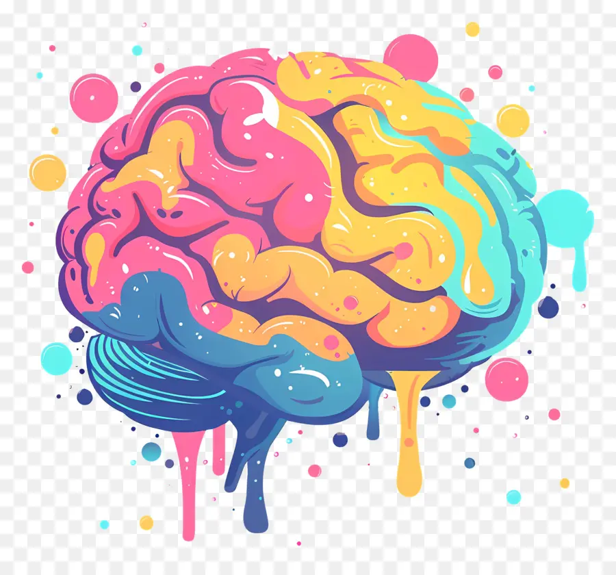 Cerebro，Cerebro Colorido PNG