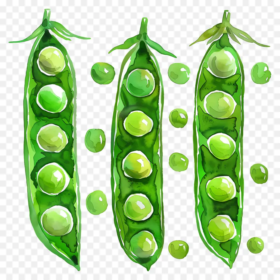 Peas，Pod PNG