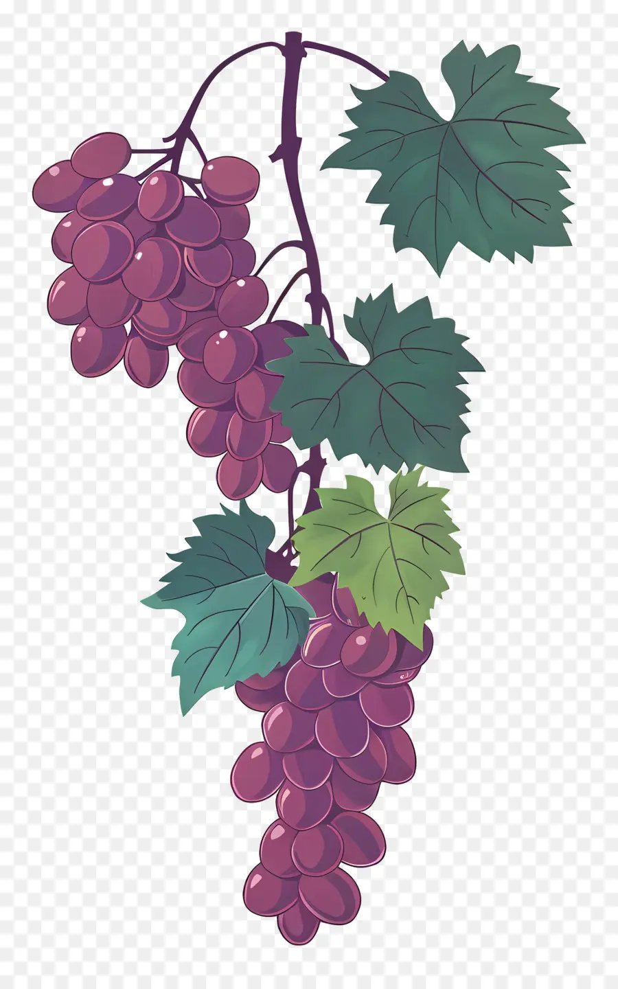 Vid De Uva，Uvas PNG