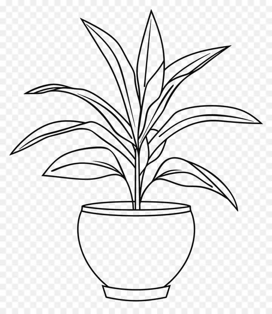 Planta En Maceta，Planta PNG