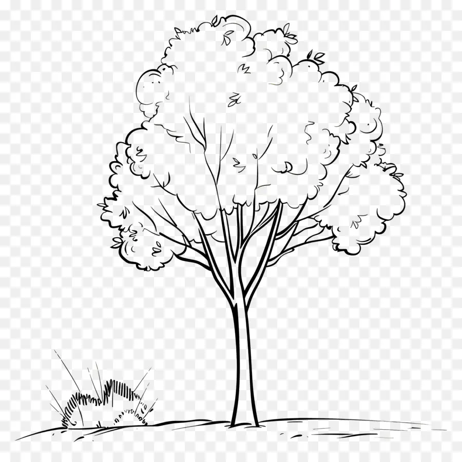 Dibujo De Una Linea，Árbol PNG