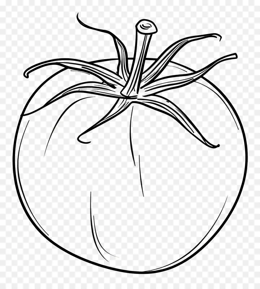 Tomate，Las Semillas De Tomate PNG