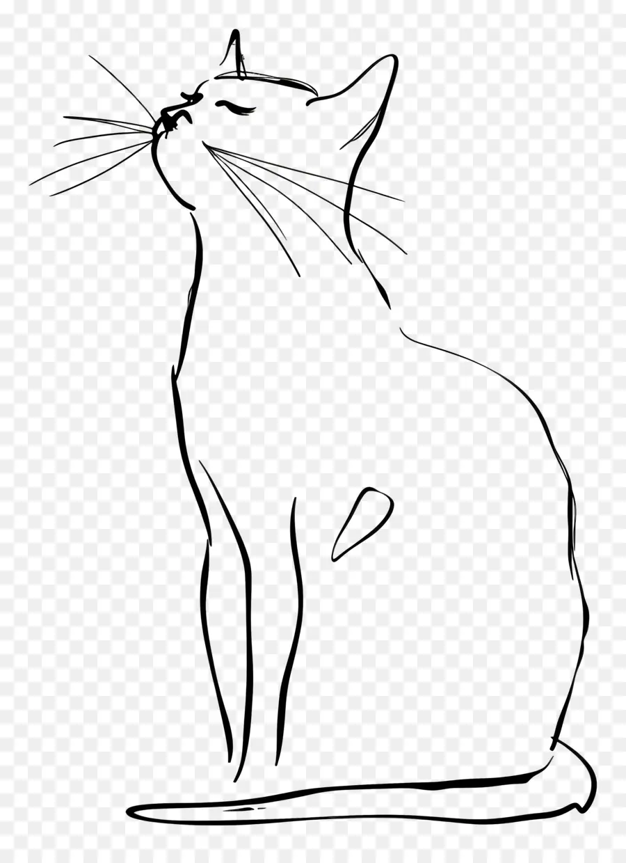 Un Dibujo De Línea，Gato PNG