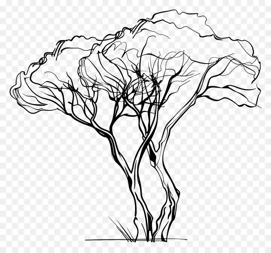 Dibujo De Una Linea，Árbol PNG