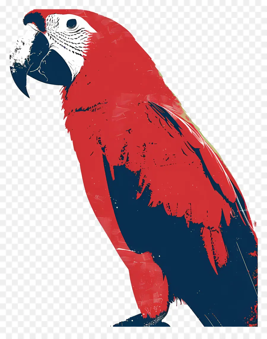 Loro，Parrot Ilustración PNG