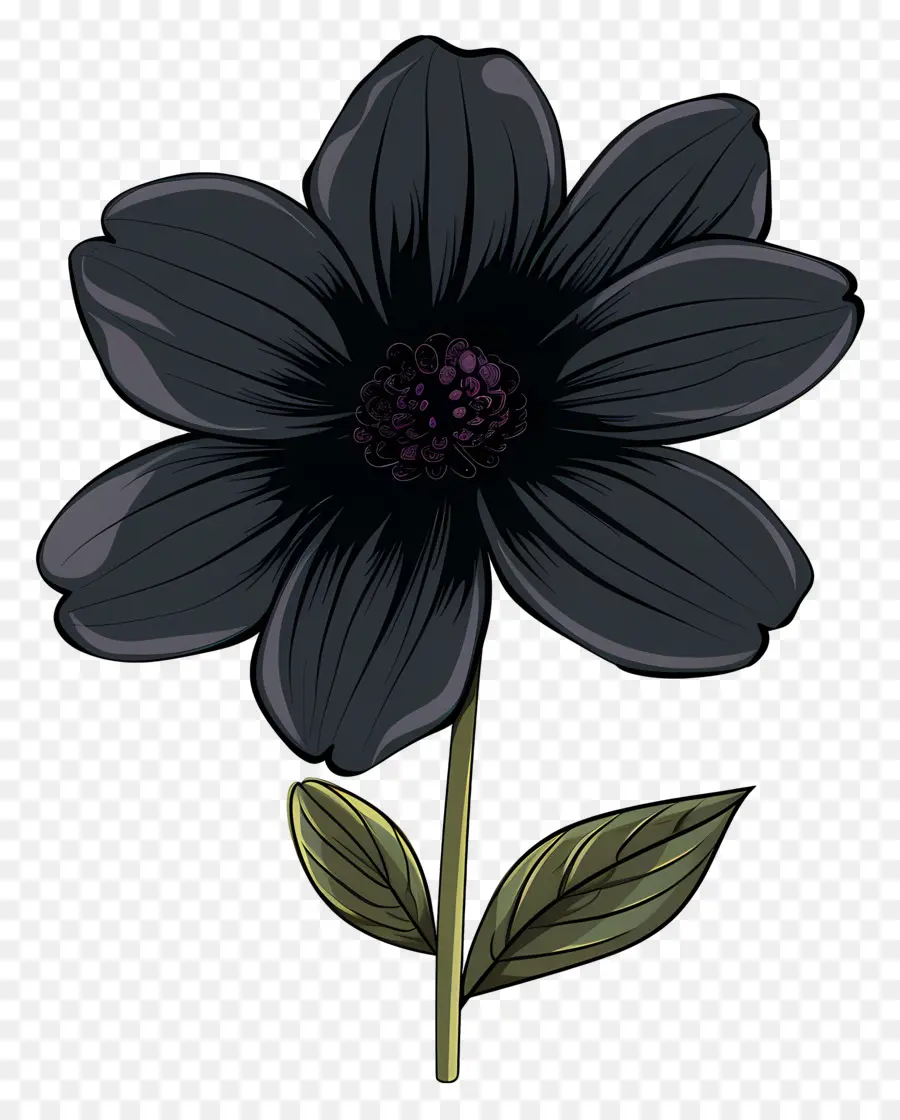 Flor，Flor Morada Oscura PNG