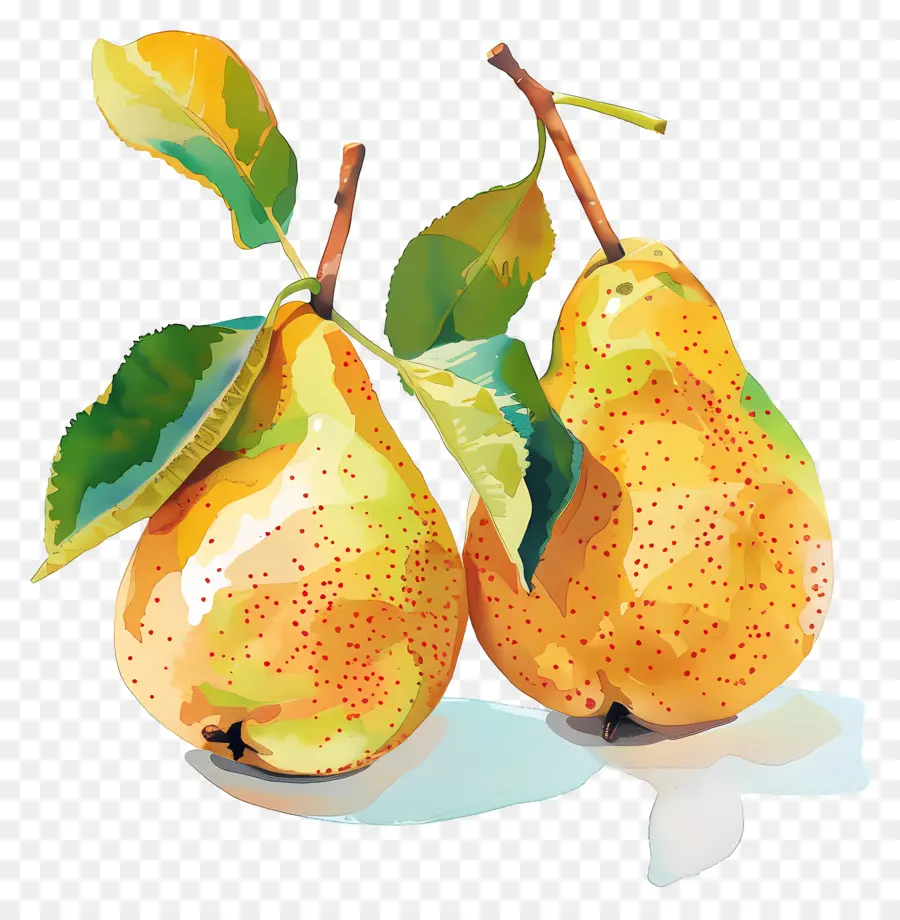 Peras，La Fruta PNG
