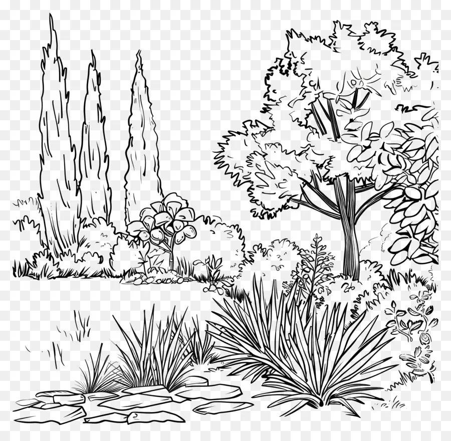 Jardín，Paisaje PNG