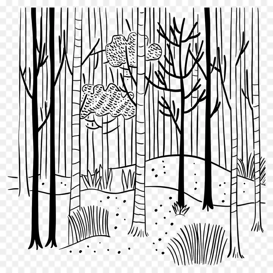 Bosque，En Blanco Y Negro PNG