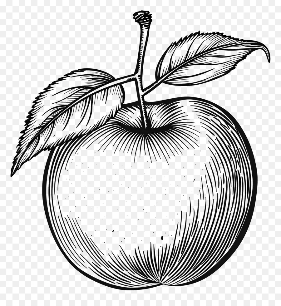 Melocotón，Apple PNG
