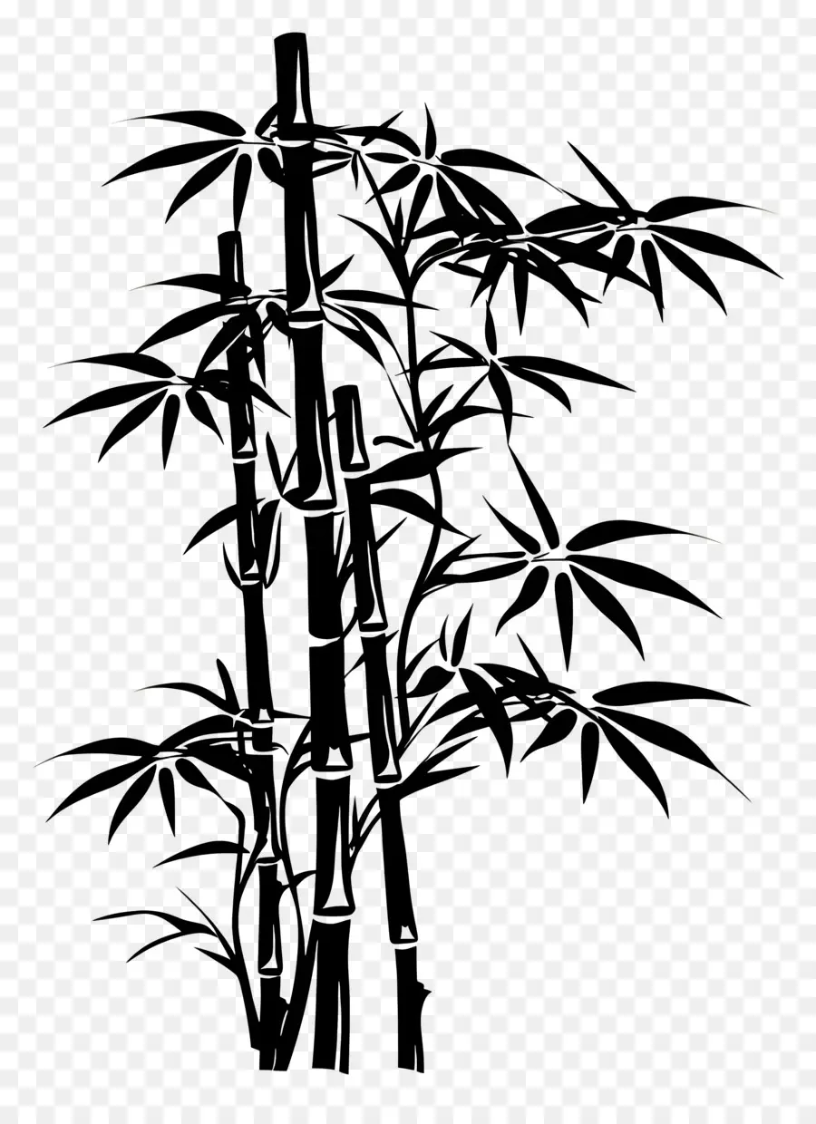 Bambú，Silueta De árbol De Bambú PNG