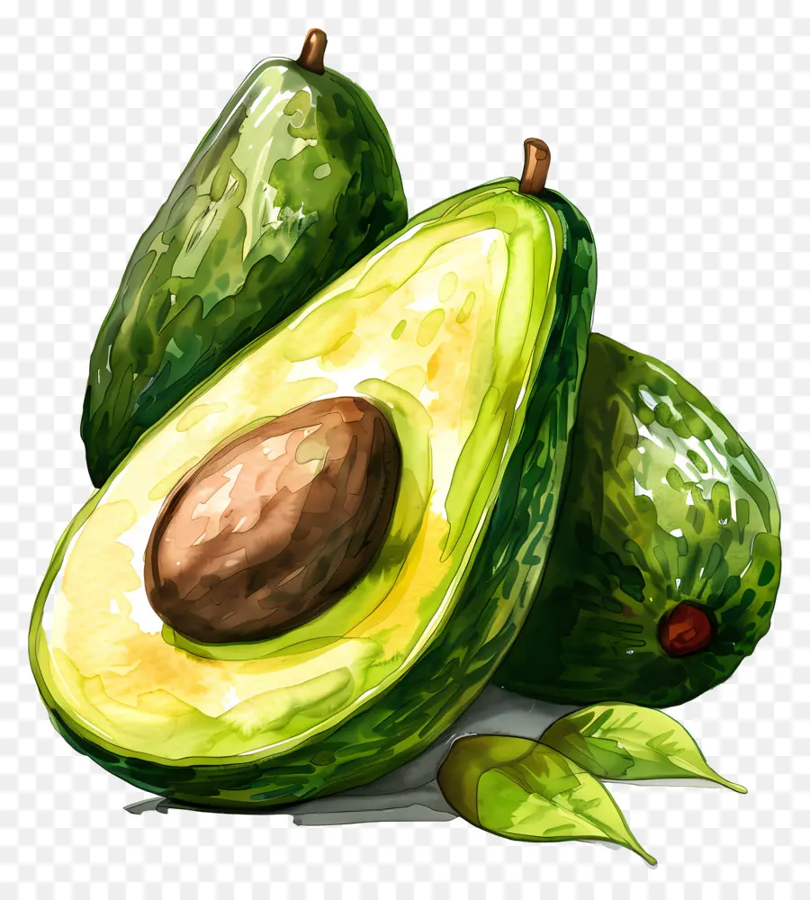 Aguacates，Aguacate PNG