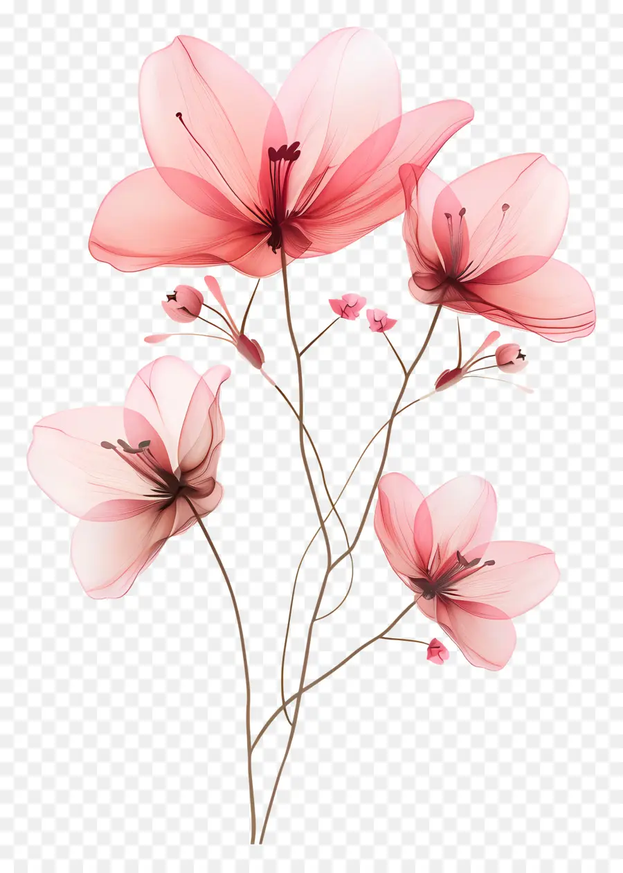 Flores De Color Rosa，Flores Rosas PNG