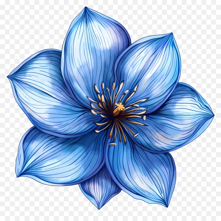 Flor Azul，Centro Blanco PNG