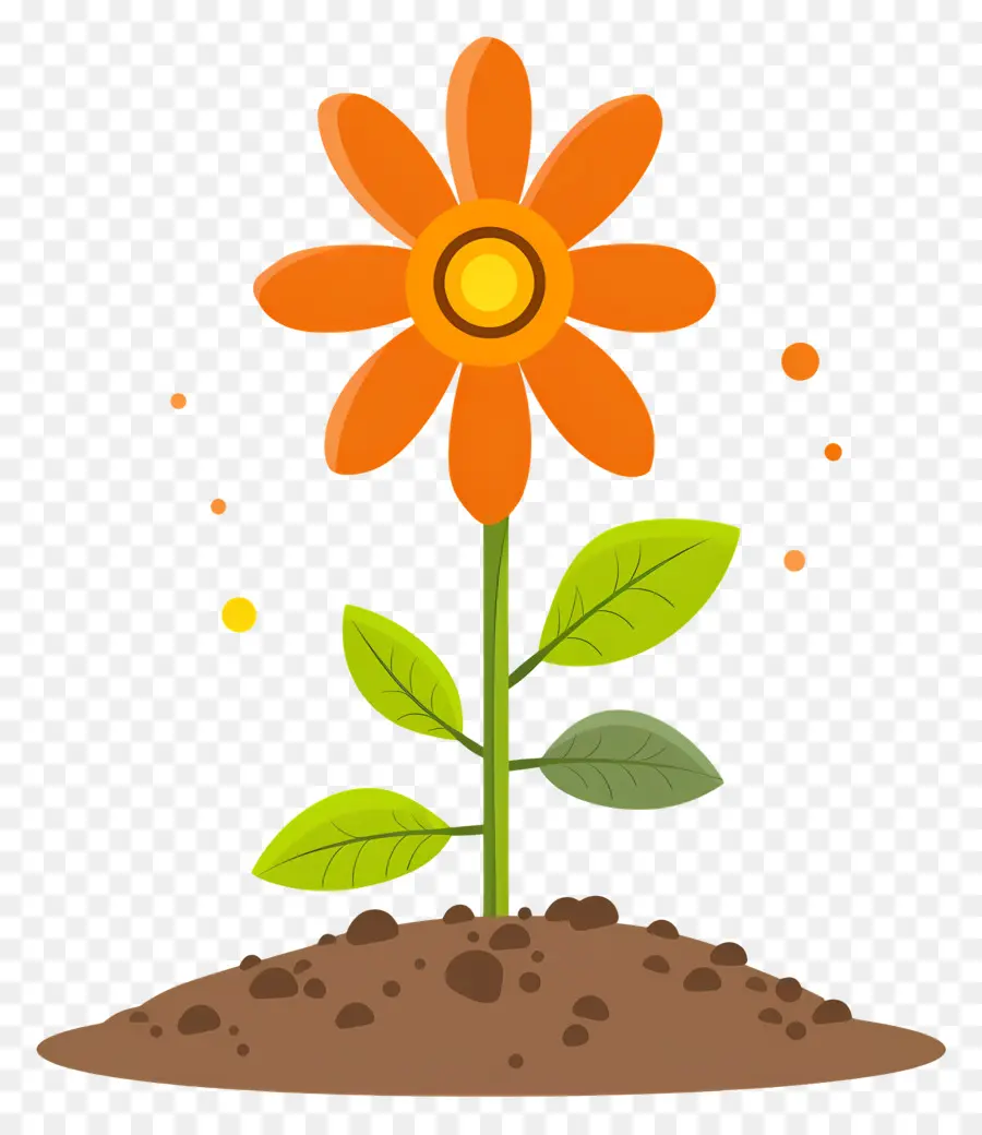 Cultivo De Flores，Flor De Dibujos Animados PNG