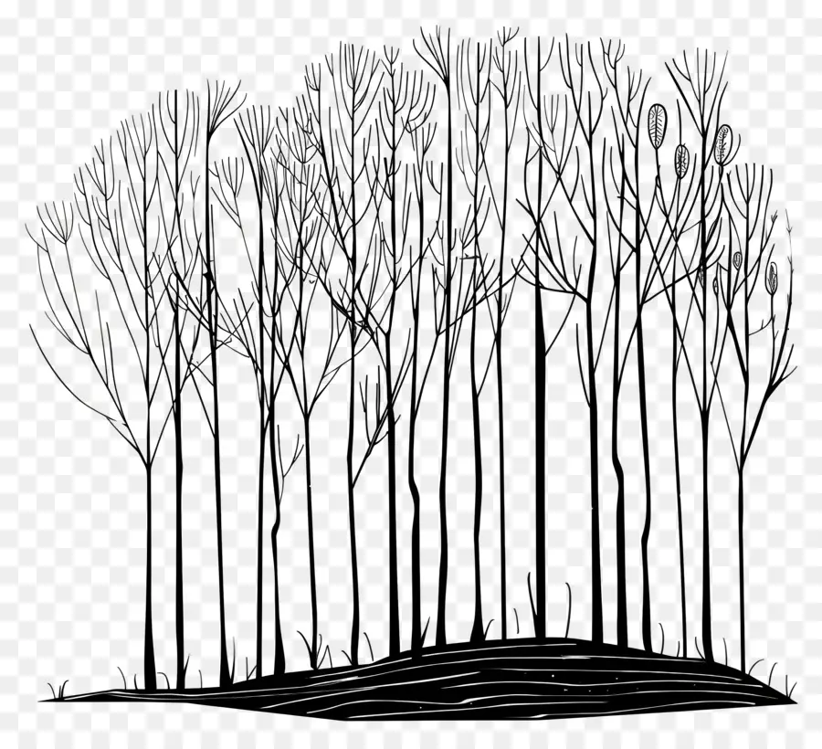 Bosque，árboles Desnudos PNG