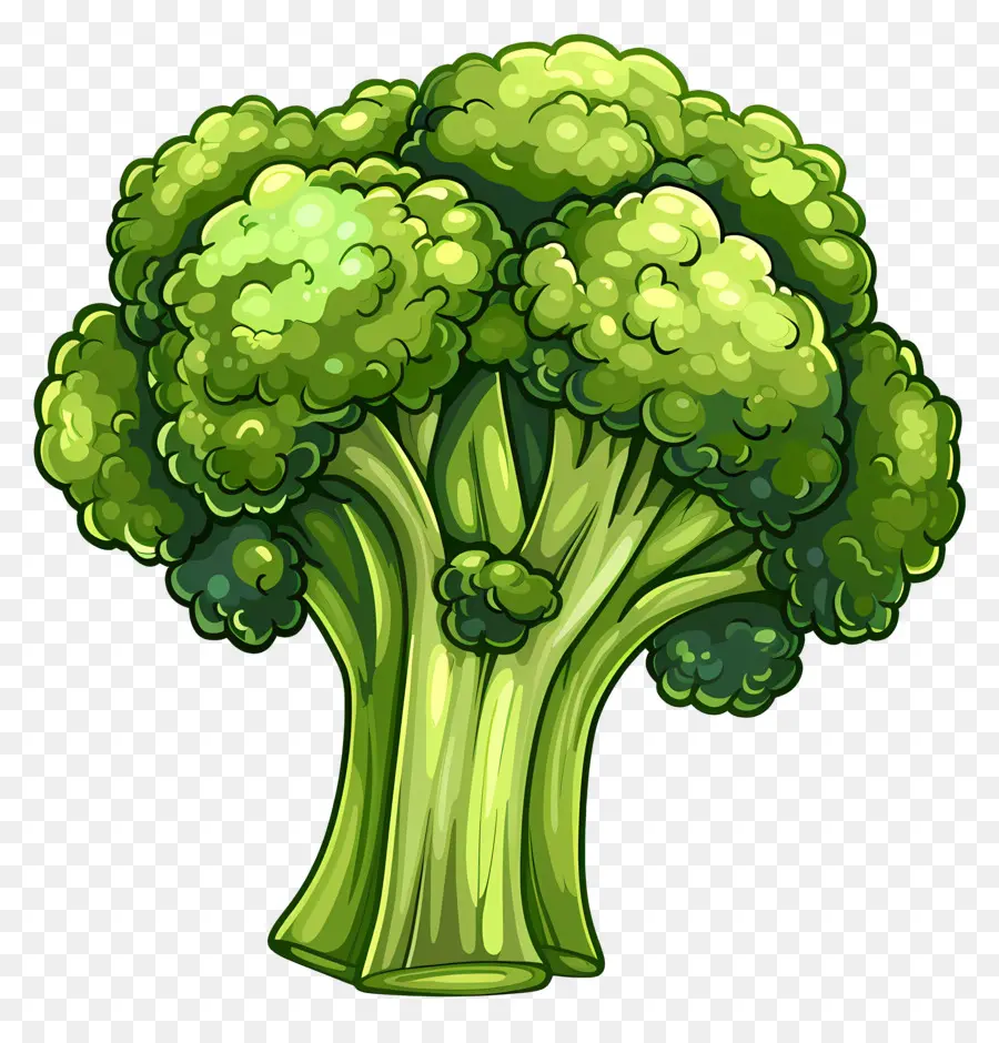 Brócoli，Planta De Brócoli PNG