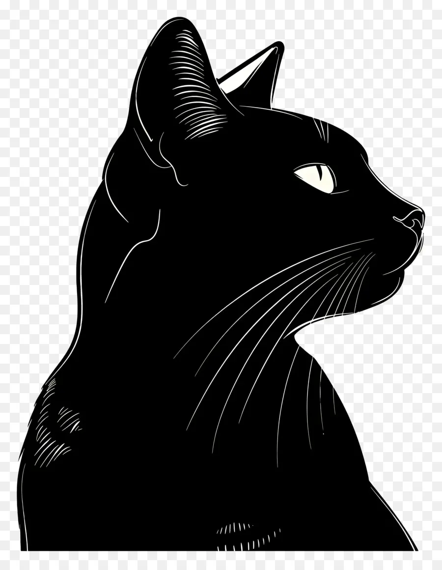 Silueta De Gato，Gato Negro PNG