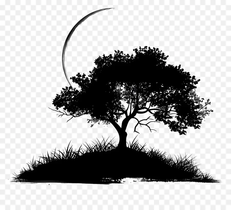 Luna Llena，Silueta De Arbol PNG