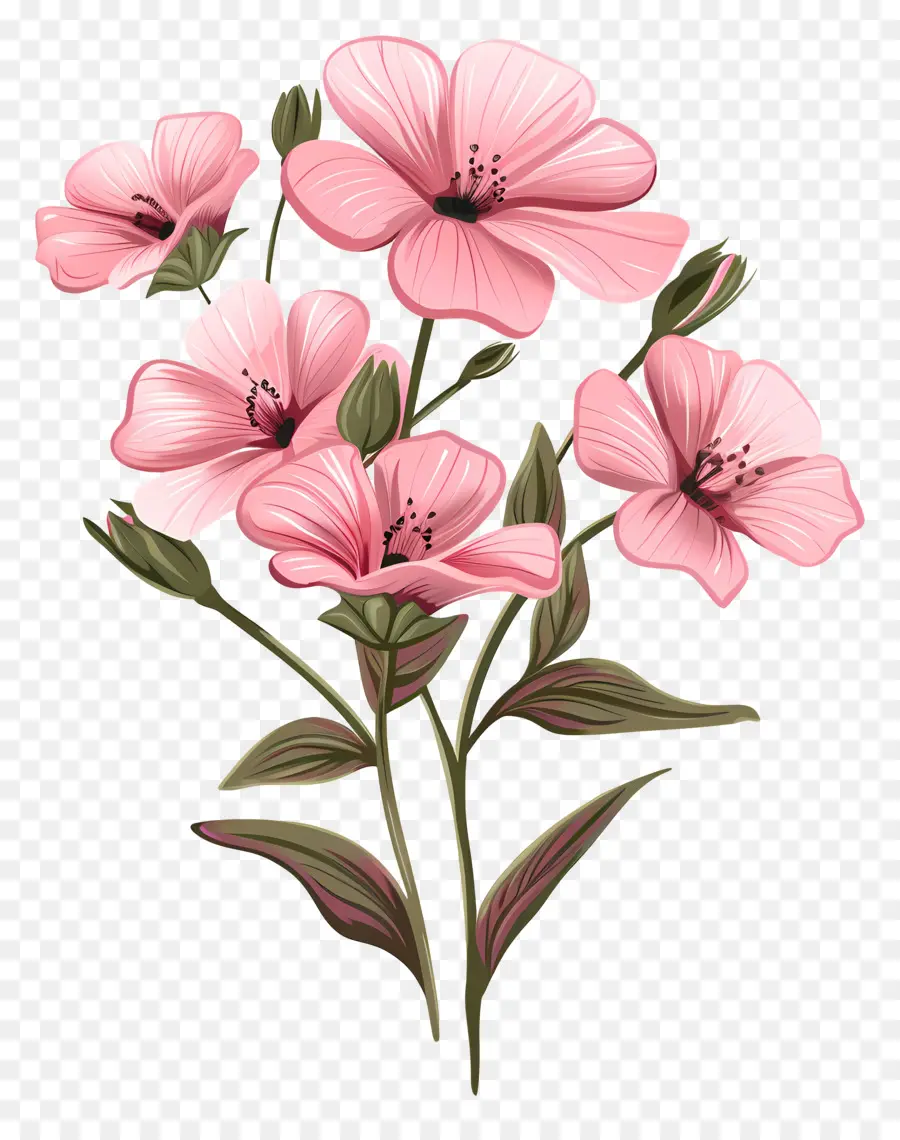 Flores De Color Rosa，Ramo PNG