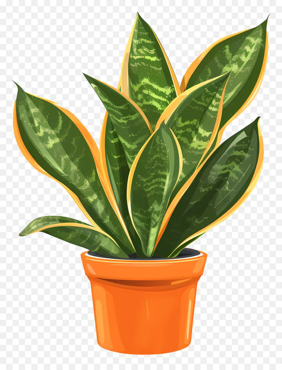 Planta De Sansevieria，La Planta De Serpiente PNG