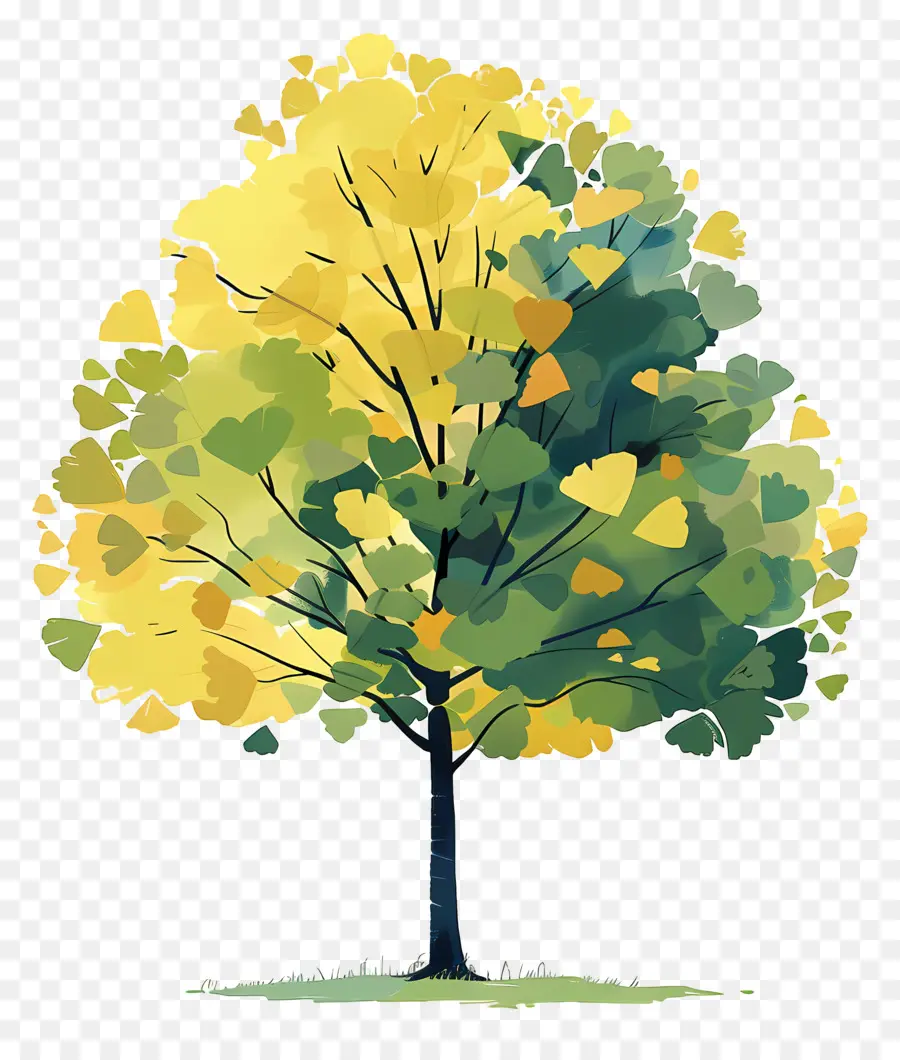 árbol De Ginkgo，árbol De Gran Tamaño PNG