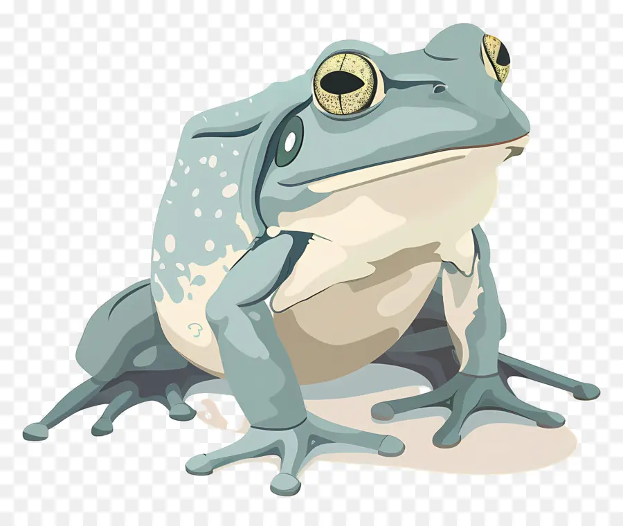 Rana，Blue Frog PNG